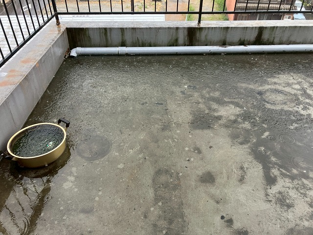 防水工事もご相談ください